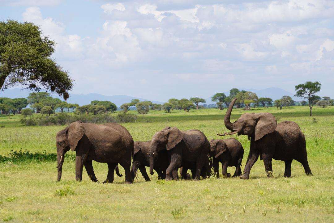 Wildlife & Nature