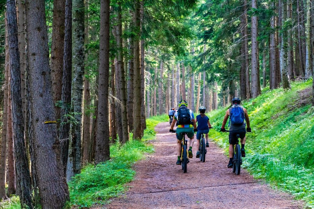 Biking & Cycling