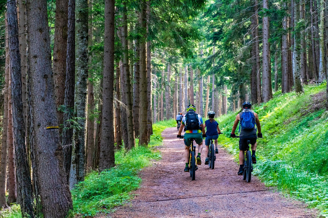 Biking & Cycling